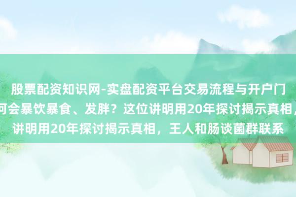 股票配资知识网-实盘配资平台交易流程与开户门槛全面解析 东谈主为何会暴饮暴食、发胖？这位讲明用20年探讨揭示真相，王人和肠谈菌群联系