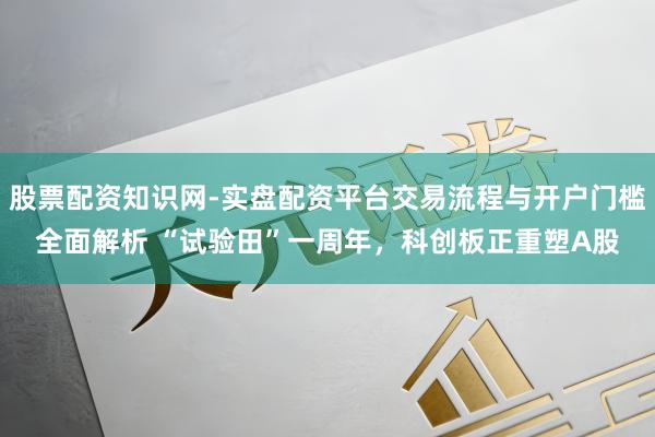 股票配资知识网-实盘配资平台交易流程与开户门槛全面解析 “试验田”一周年，科创板正重塑A股