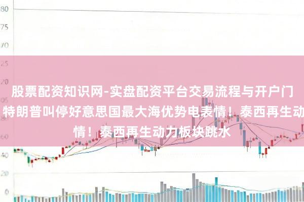 股票配资知识网-实盘配资平台交易流程与开户门槛全面解析 特朗普叫停好意思国最大海优势电表情！泰西再生动力板块跳水