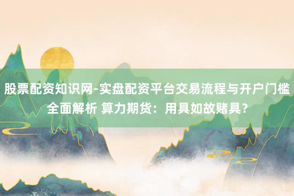 股票配资知识网-实盘配资平台交易流程与开户门槛全面解析 算力期货：用具如故赌具？